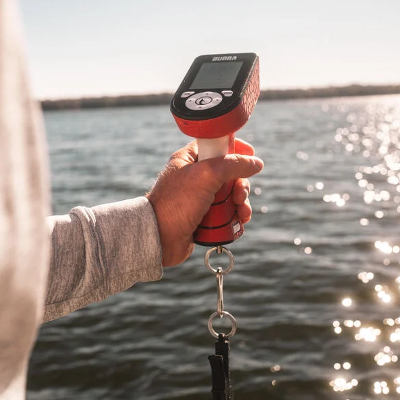Scale in hand