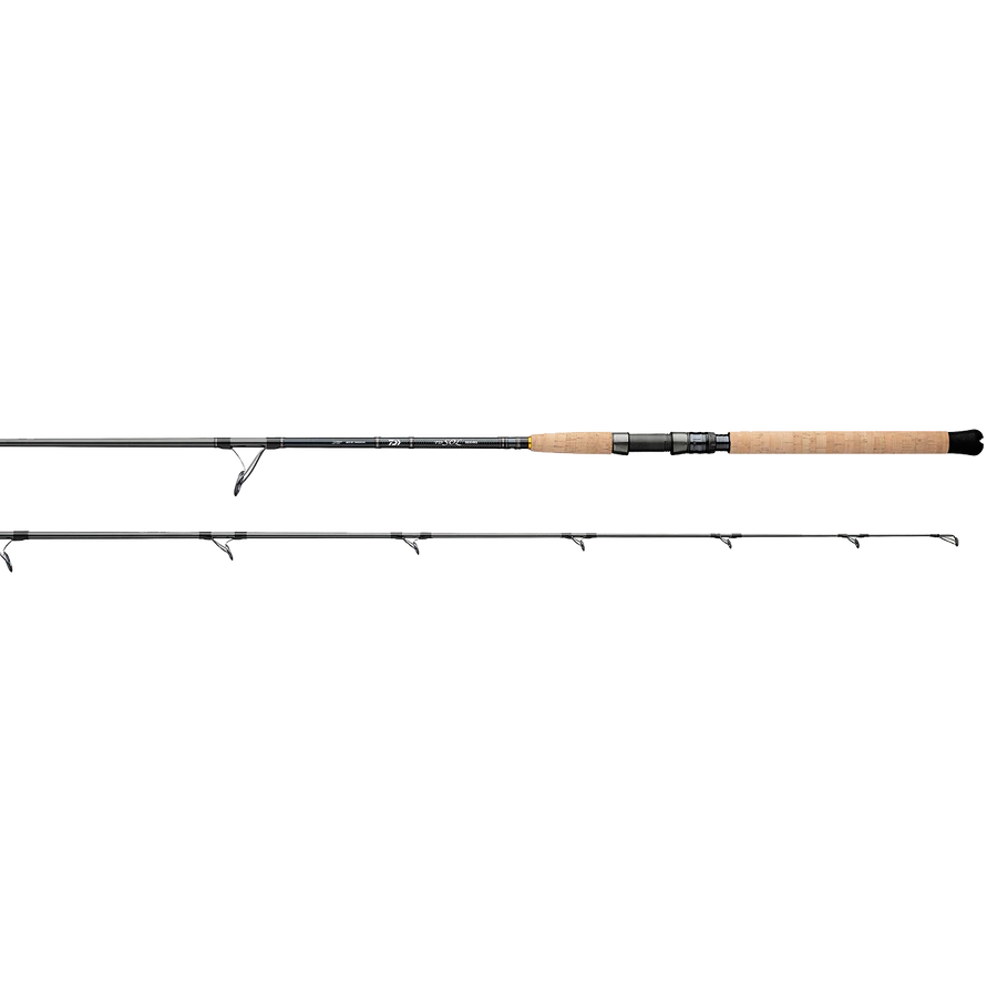 DAIWA 24 TD SOL Inshore Rods – Crook and Crook Fishing, Electronics ...