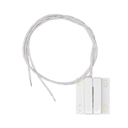 Magnetic reed