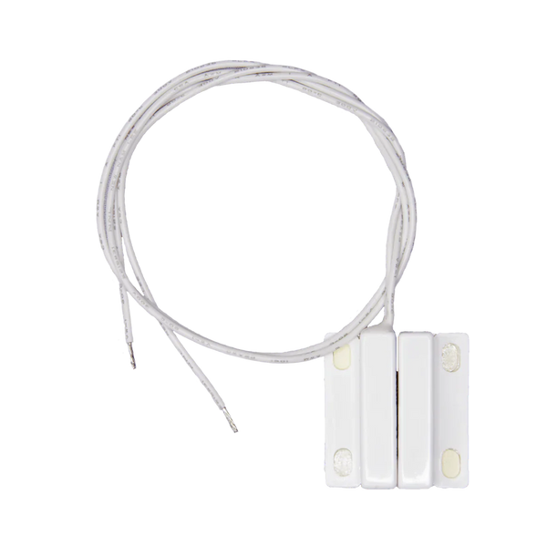Magnetic reed