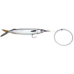 Ballyhood Banchee 48oz Lure (Assorted Colors) – Crook and Crook Fishing,  Electronics, and Marine Supplies