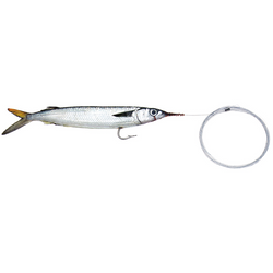 BAITMASTERS OF SOUTH FLORIDA Rigged Ballyhoo - Mono Leader (3 pack)