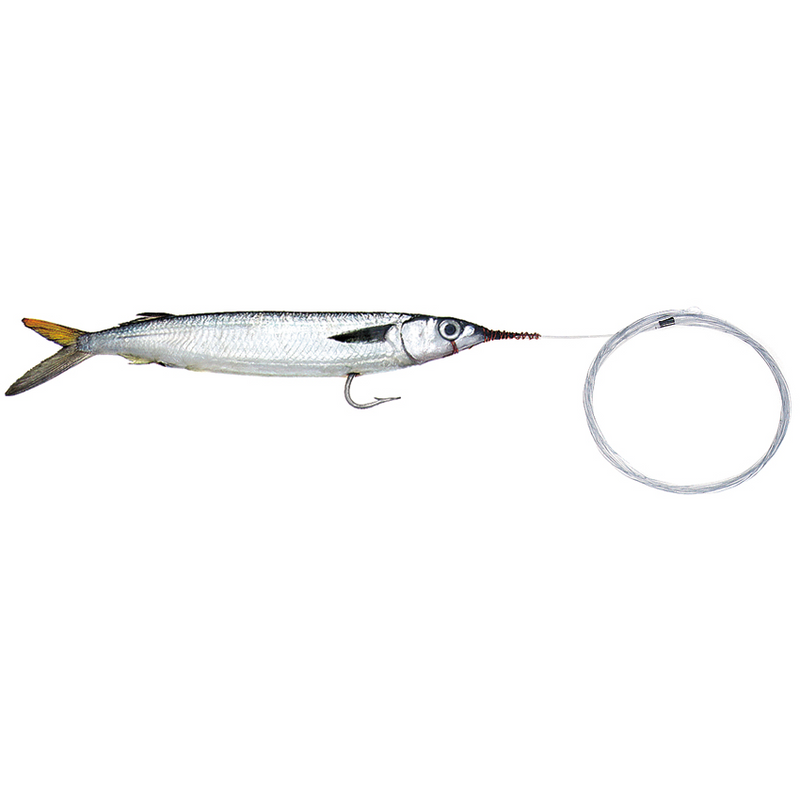 BAITMASTERS OF SOUTH FLORIDA Rigged Ballyhoo - Mono Leader (3 pack)