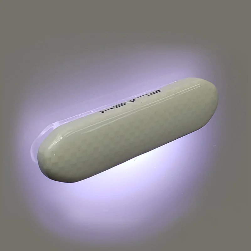 PLASH LIGHTING PADRE Carbon Fiber LED Courtesy Light
