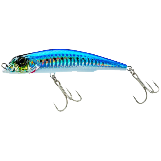 Sardine