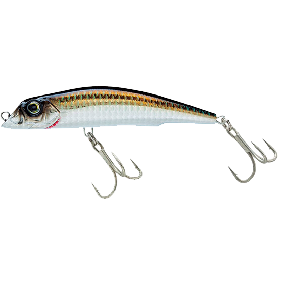 Bronze Shiner