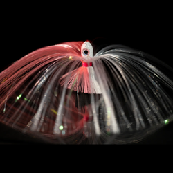 Pink and White Zoom Witch