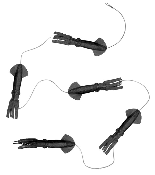 black daisy chain