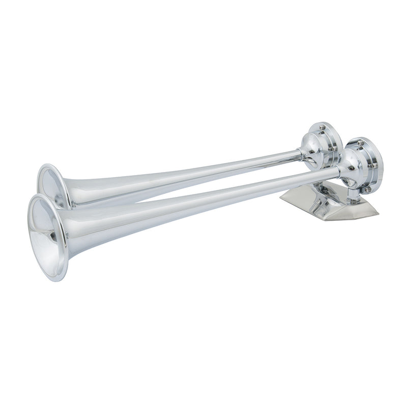 Dual horn