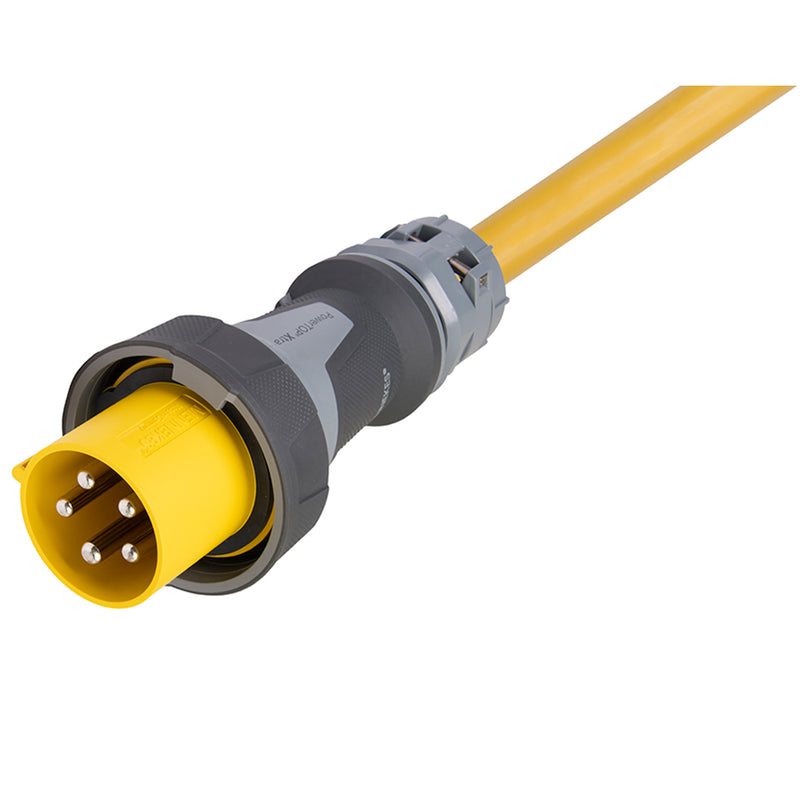 Male end of cable
