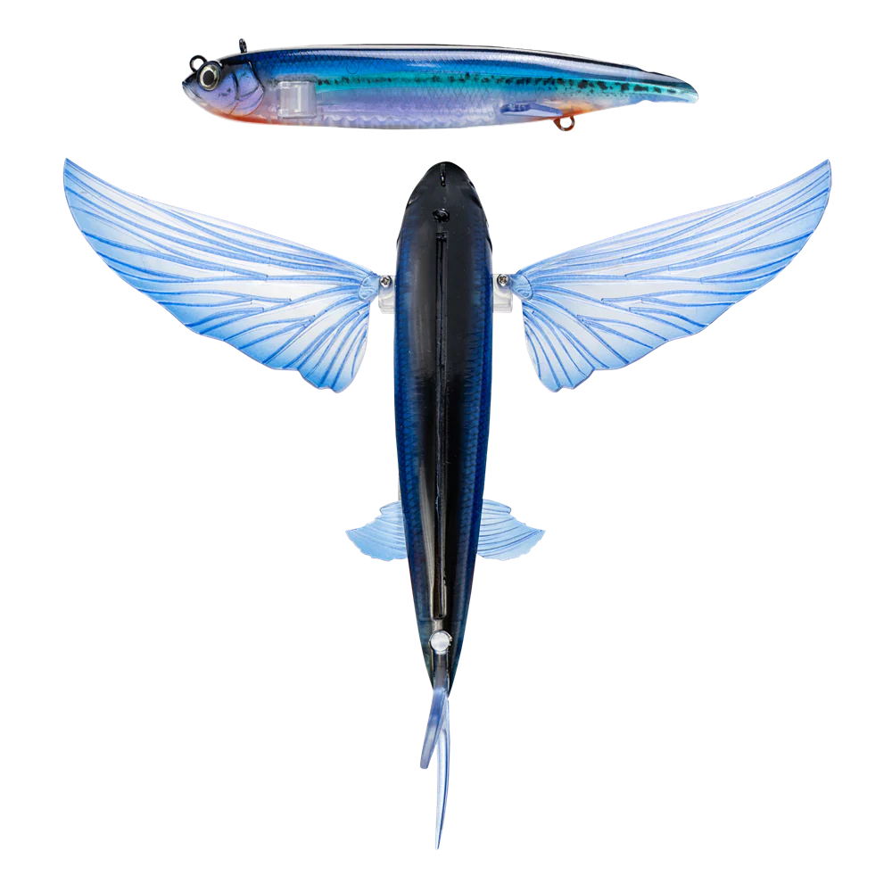 CTC SURFCRAFT スノーサーフィン 151 Diamond Fish CTC Surfcraft - Snowsurf Series｜Surfski Station