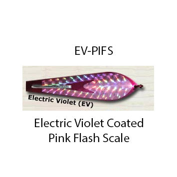 Electric violet coated with pink flash scale