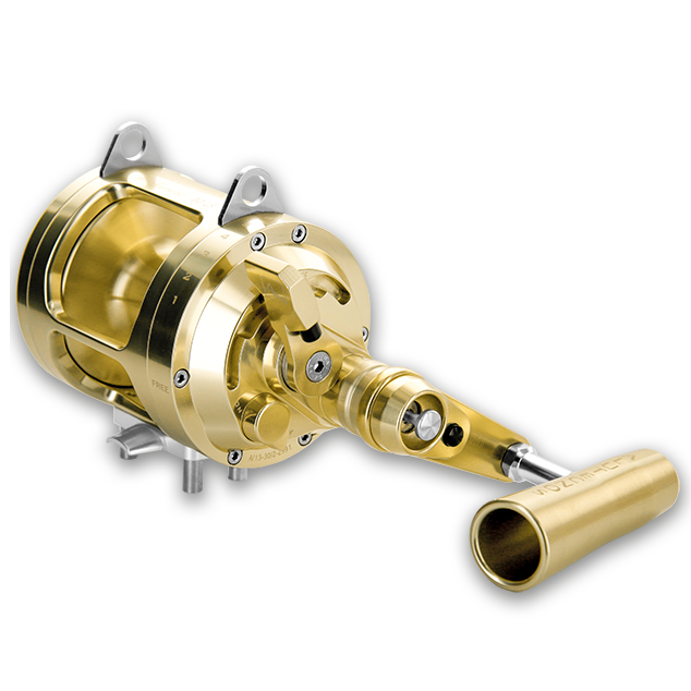 Gold reel