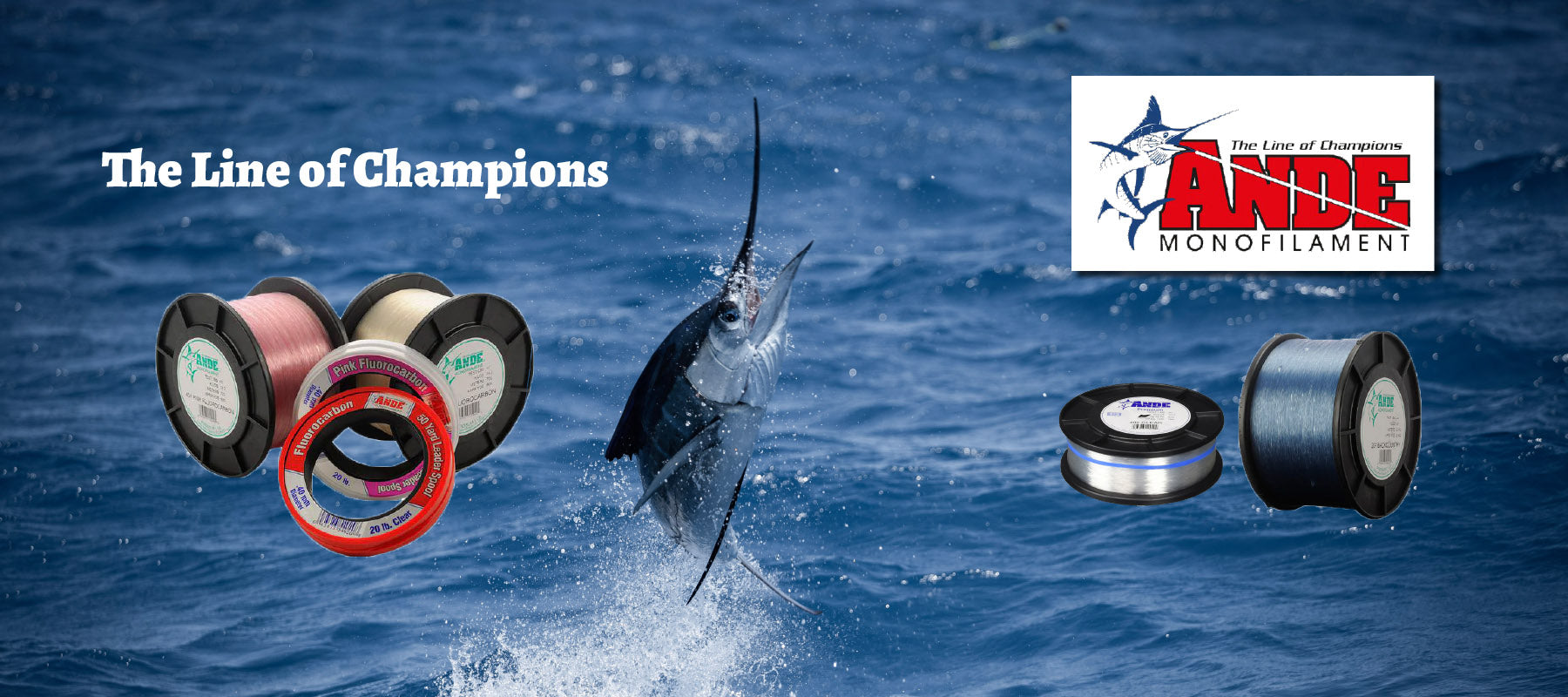 Ande web banner sailfish jumping
