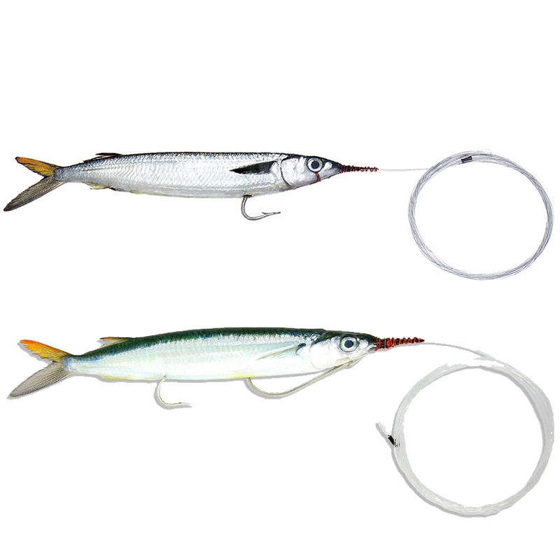 BAITMASTERS OF SOUTH FLORIDA Rigged Ballyhoo - Mono Leader (3 pack) – Crook  and Crook Fishing, Electronics, and Marine Supplies