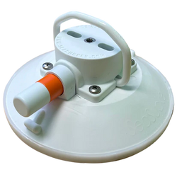 White with ring up