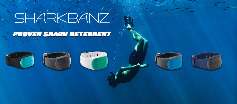SHARKBANZ Diver