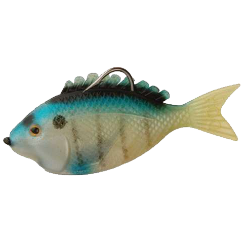 Pinfish