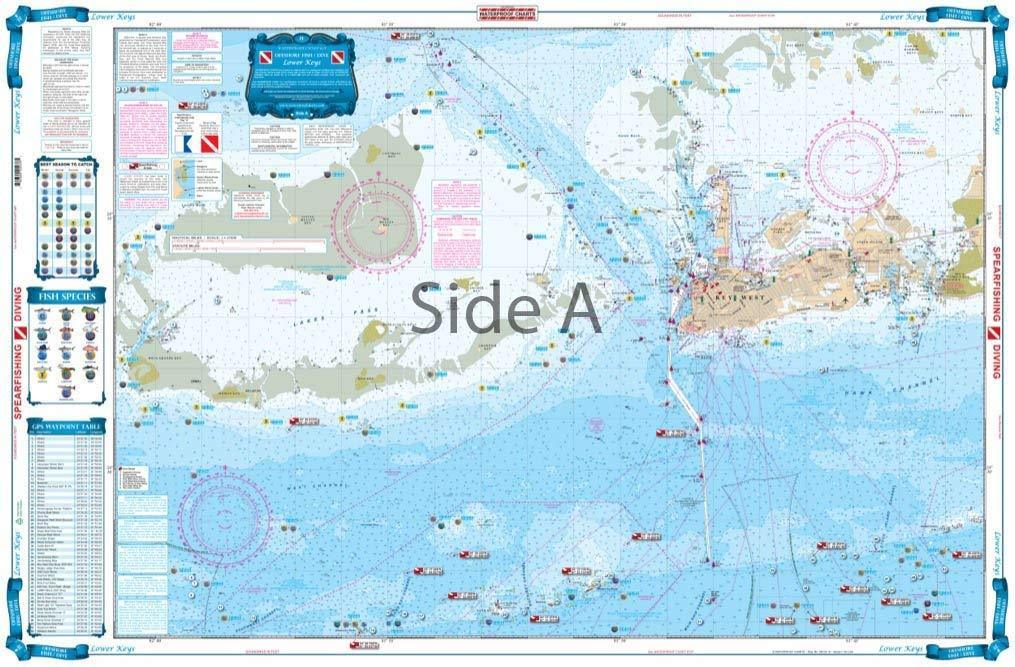 Key West And Lower Keys Lobster Inshore Fish And Dive Chart, 58% OFF
