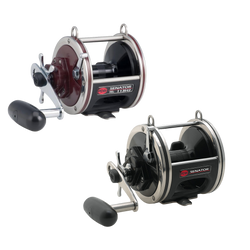 PENN Special Senator Star Drag Conventional Reels – Crook and Crook  Fishing, Electronics, and Marine Supplies