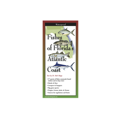 Front of pamphlet
