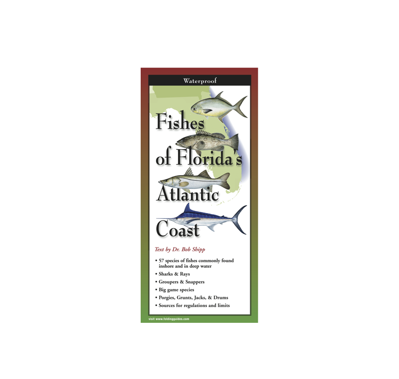 Front of pamphlet