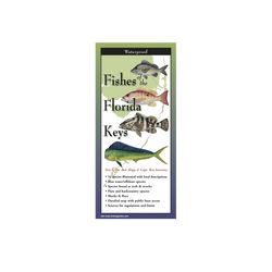Front of pamphlet