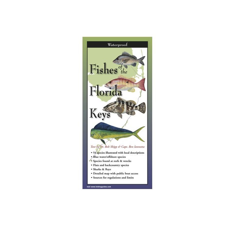 Front of pamphlet