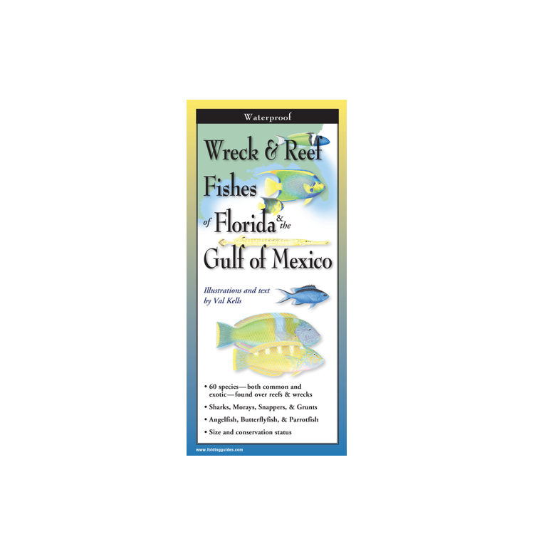Front of pamphlet