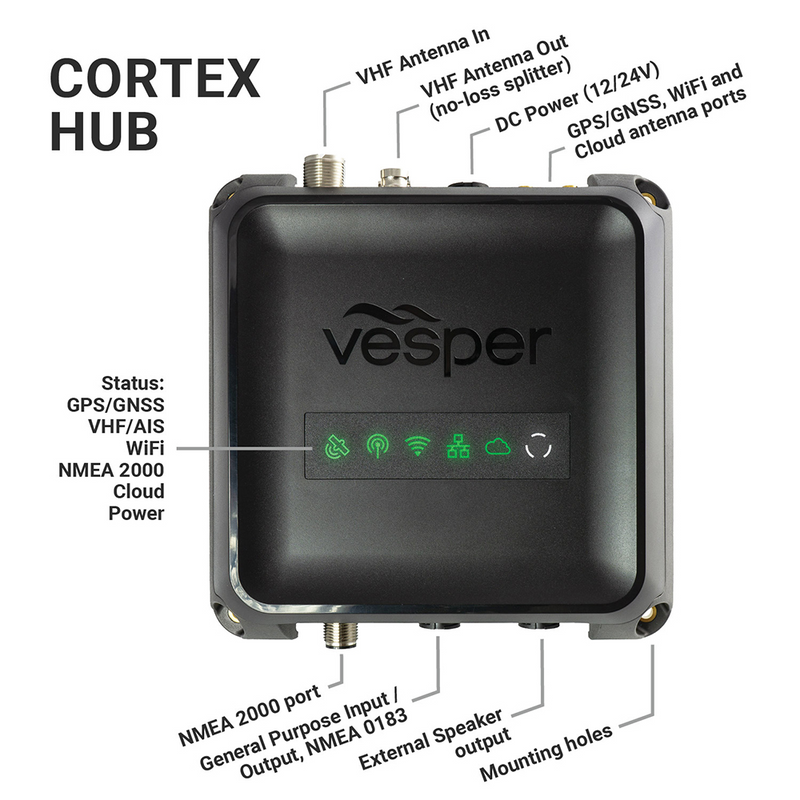 Black box of the Cortex V1