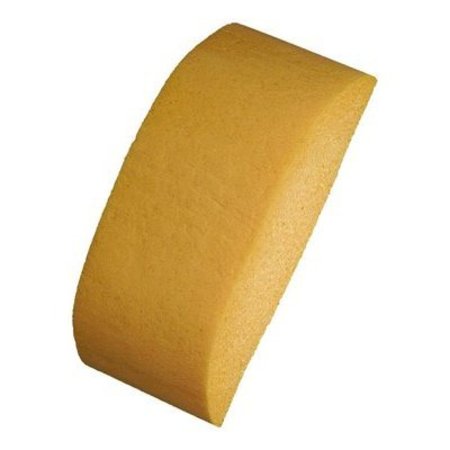 yellow/gold sponge with turtleback shape