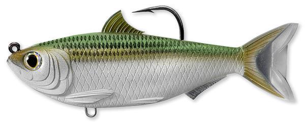 Silver and green sardine with a hook coming out by the top fin