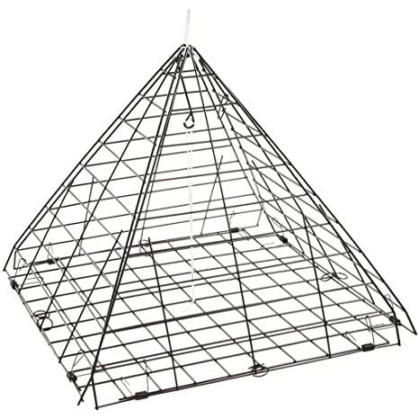 Image of triangle form closed trap