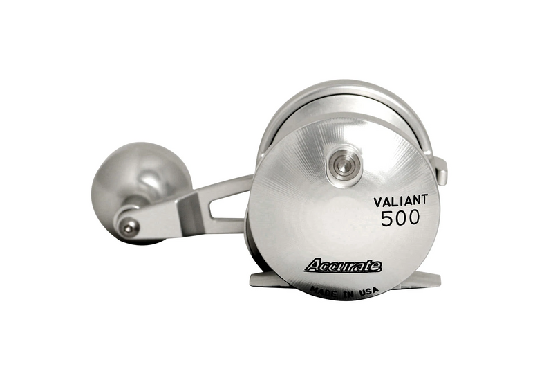 Accurate Valiant 500 Silver side view