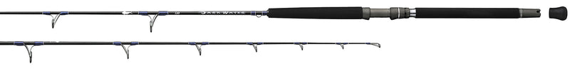 Dark Water Spinning Rod showing Dark Water logo and 7 guides