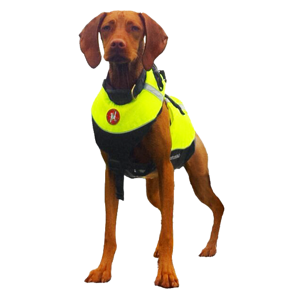 Extra extra small top dog life jacket