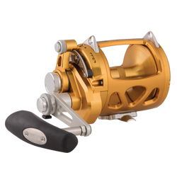 Penn INT30VISW International VISW Reel