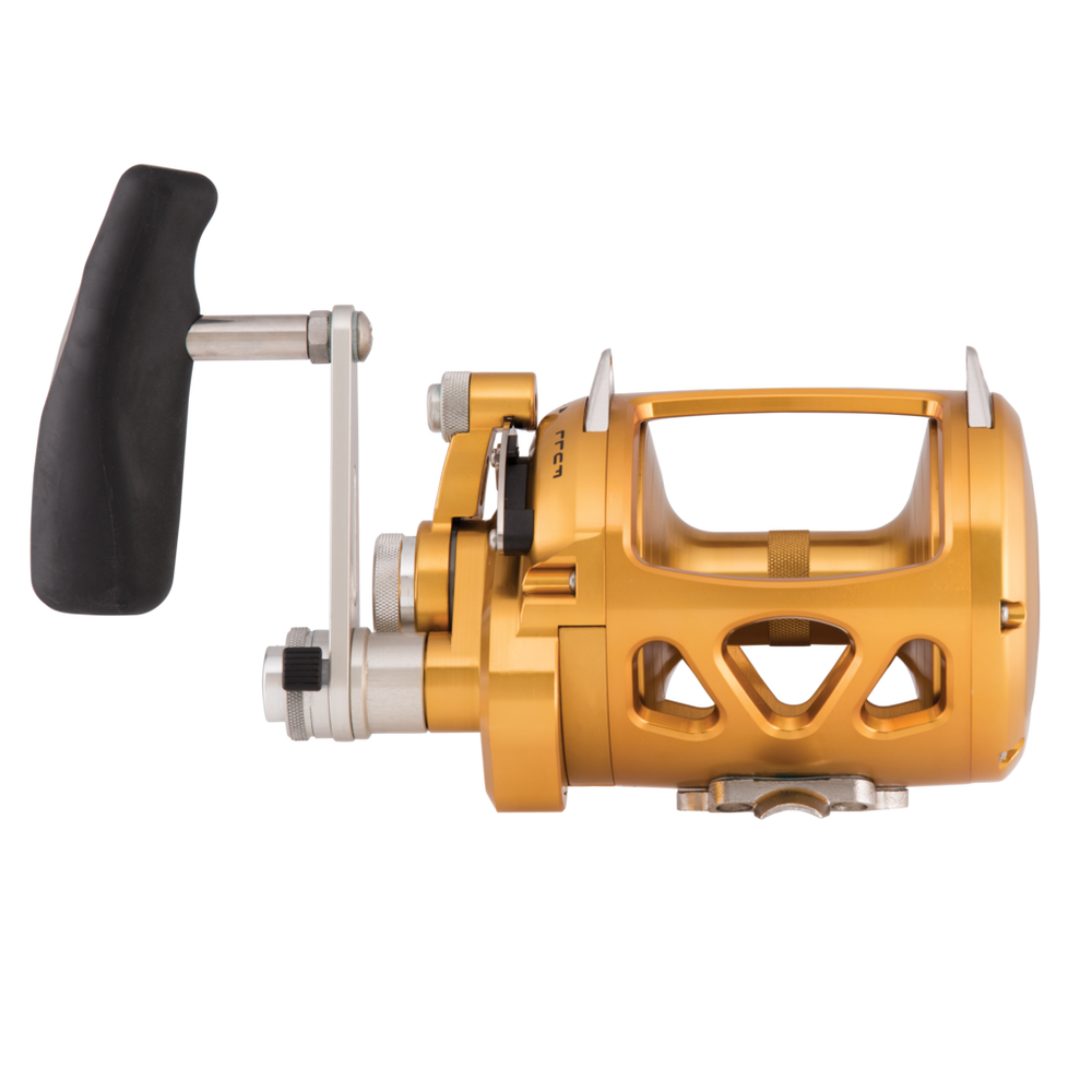 Penn International VISW Conventional Reel