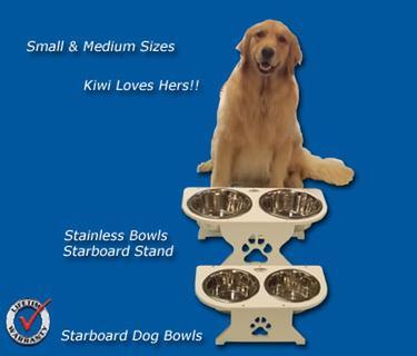 Dog with bowl