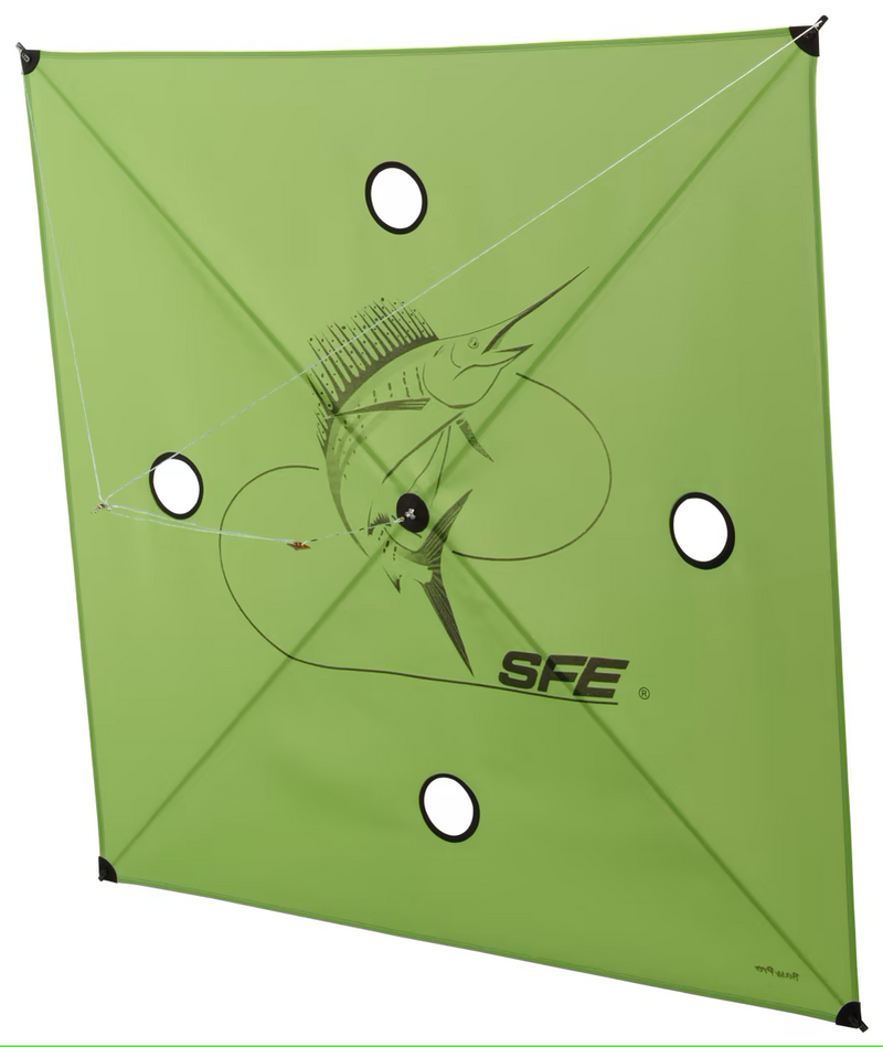 Green kite with holes